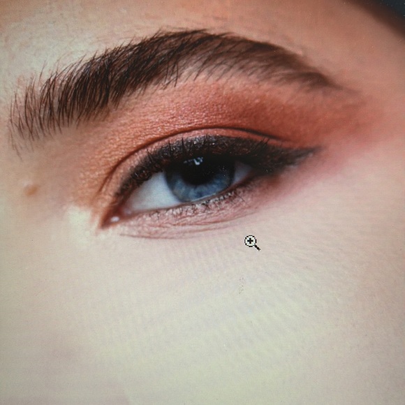 Laritzy Burnt Eyeshadow Palette - Picture 6 of 7